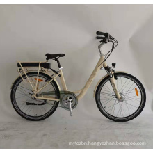 2019 E Cycle Electric Bike Folding Electric Bicycle with Lithium Battery